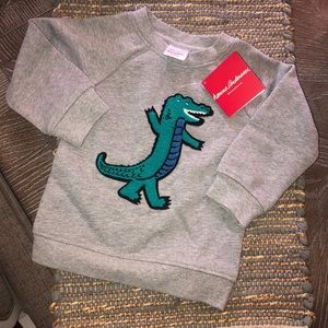 Hanna andersson 2t grey dinosaur sweatshirt